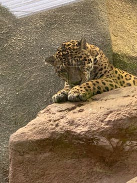 那須どうぶつ王国に投稿された画像（2022/11/23）