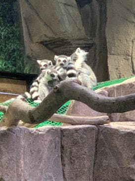 那須どうぶつ王国に投稿された画像（2022/11/23）