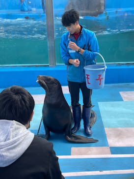 ゼロ距離水族館 伊勢シーパラダイスに投稿された画像（2022/11/23）