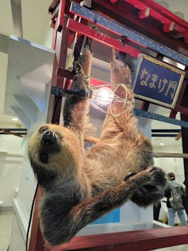 アニタッチみなとみらいに投稿された画像（2022/11/23）