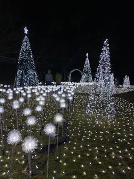 大阪府立花の文化園に投稿された画像（2022/11/23）