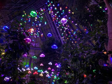 大阪府立花の文化園に投稿された画像（2022/11/23）