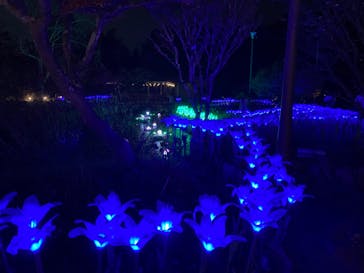 大阪府立花の文化園に投稿された画像（2022/11/23）