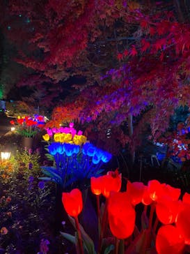 大阪府立花の文化園に投稿された画像（2022/11/23）