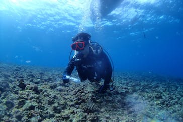 Step海ダイバーズ・スクール宮古島に投稿された画像（2022/11/23）