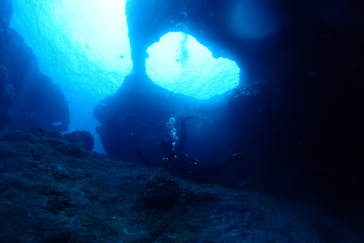 Step海ダイバーズ・スクール宮古島に投稿された画像（2022/11/23）