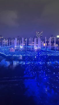 東京メガイルミに投稿された画像（2022/11/23）