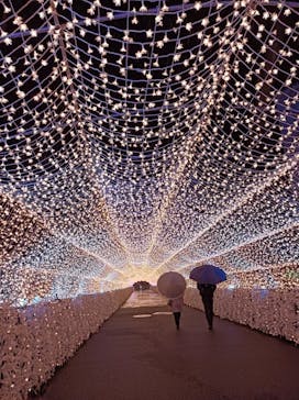 東京メガイルミに投稿された画像（2022/11/23）