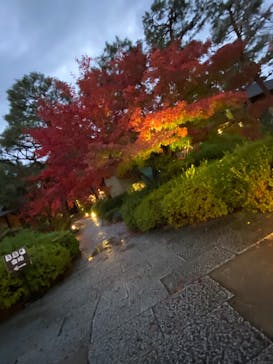 上方温泉 一休 京都本館に投稿された画像（2022/11/24）