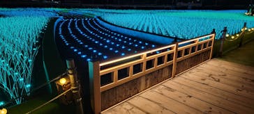 東京メガイルミに投稿された画像（2022/11/24）