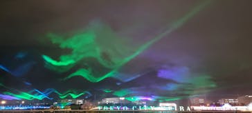 東京メガイルミに投稿された画像（2022/11/24）