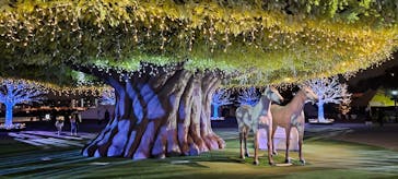 東京メガイルミに投稿された画像（2022/11/24）