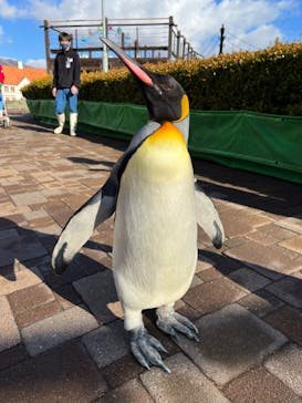 登別マリンパークニクスに投稿された画像（2022/11/24）