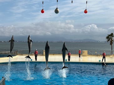 マリンワールド海の中道に投稿された画像（2022/11/24）
