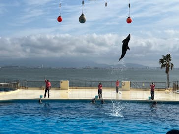 マリンワールド海の中道に投稿された画像（2022/11/24）
