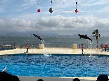 マリンワールド海の中道に投稿された画像（2022/11/24）
