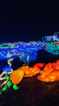 伊豆ぐらんぱる公園に投稿された画像（2022/11/24）