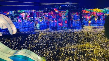 伊豆ぐらんぱる公園に投稿された画像（2022/11/24）