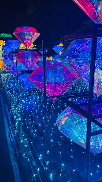 伊豆ぐらんぱる公園に投稿された画像（2022/11/24）