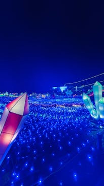 伊豆ぐらんぱる公園に投稿された画像（2022/11/24）