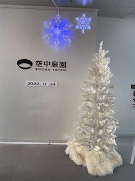 梅田スカイビル・空中庭園展望台に投稿された画像（2022/11/24）