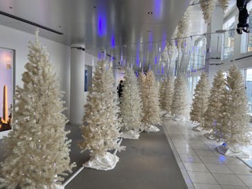 梅田スカイビル・空中庭園展望台に投稿された画像（2022/11/24）