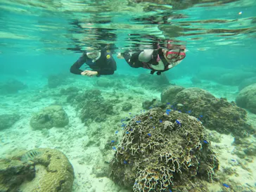 武藤潜水に投稿された画像（2022/11/24）