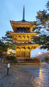 三溪園に投稿された画像（2022/11/24）