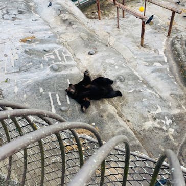 のぼりべつクマ牧場に投稿された画像（2022/11/24）