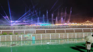 東京メガイルミに投稿された画像（2022/11/24）