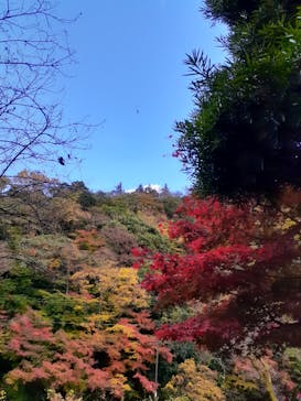 日帰り温泉湯の里おかだに投稿された画像（2022/11/24）