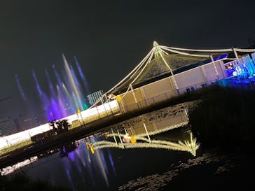 東京メガイルミに投稿された画像（2022/11/24）