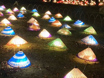 国営昭和記念公園 秋の夜散歩に投稿された画像（2022/11/24）