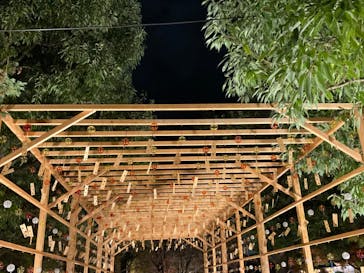 国営昭和記念公園 秋の夜散歩に投稿された画像（2022/11/24）