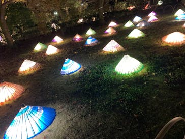 国営昭和記念公園 秋の夜散歩に投稿された画像（2022/11/24）