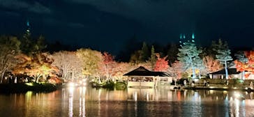 国営昭和記念公園 秋の夜散歩に投稿された画像（2022/11/24）