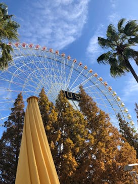 ナガシマスパーランドに投稿された画像（2022/11/24）