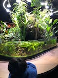 スマートアクアリウム静岡に投稿された画像（2022/11/24）