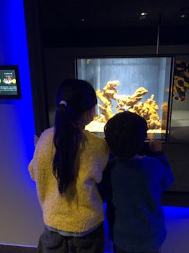 スマートアクアリウム静岡に投稿された画像（2022/11/24）