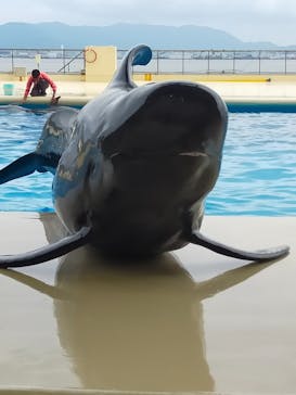 マリンワールド海の中道に投稿された画像（2022/11/24）