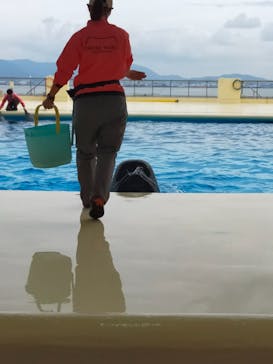 マリンワールド海の中道に投稿された画像（2022/11/24）