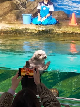 マリンワールド海の中道に投稿された画像（2022/11/24）