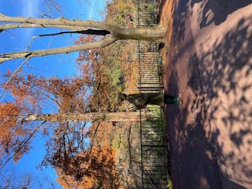 ムーミンバレーパークに投稿された画像（2022/11/24）