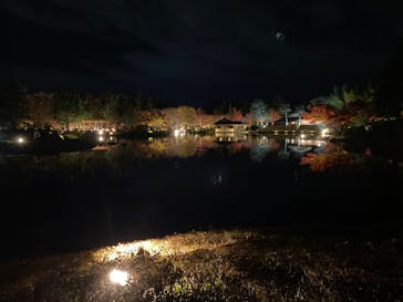 国営昭和記念公園 秋の夜散歩に投稿された画像（2022/11/24）