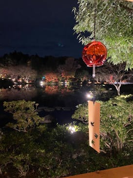 国営昭和記念公園 秋の夜散歩に投稿された画像（2022/11/24）