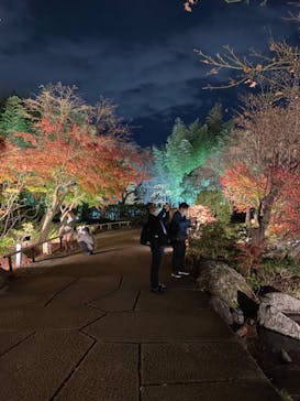 国営昭和記念公園 秋の夜散歩に投稿された画像（2022/11/24）
