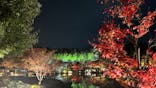 国営昭和記念公園 秋の夜散歩に投稿された画像（2022/11/24）