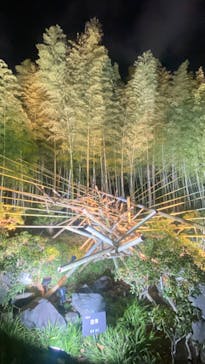 国営昭和記念公園 秋の夜散歩に投稿された画像（2022/11/24）