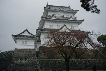 小田原城に投稿された画像（2022/11/24）