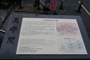 小田原城に投稿された画像（2022/11/24）